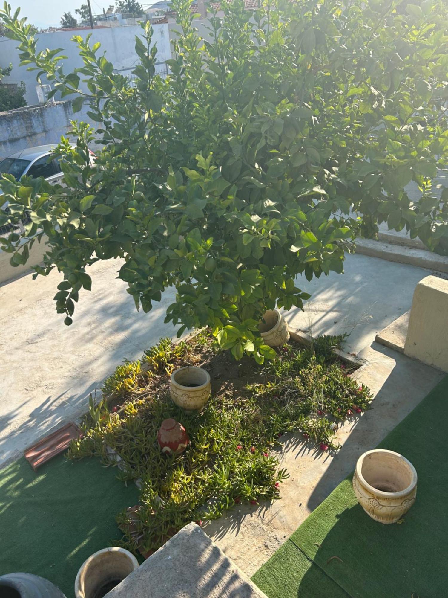 Lemonia Apartment Megara Luaran gambar