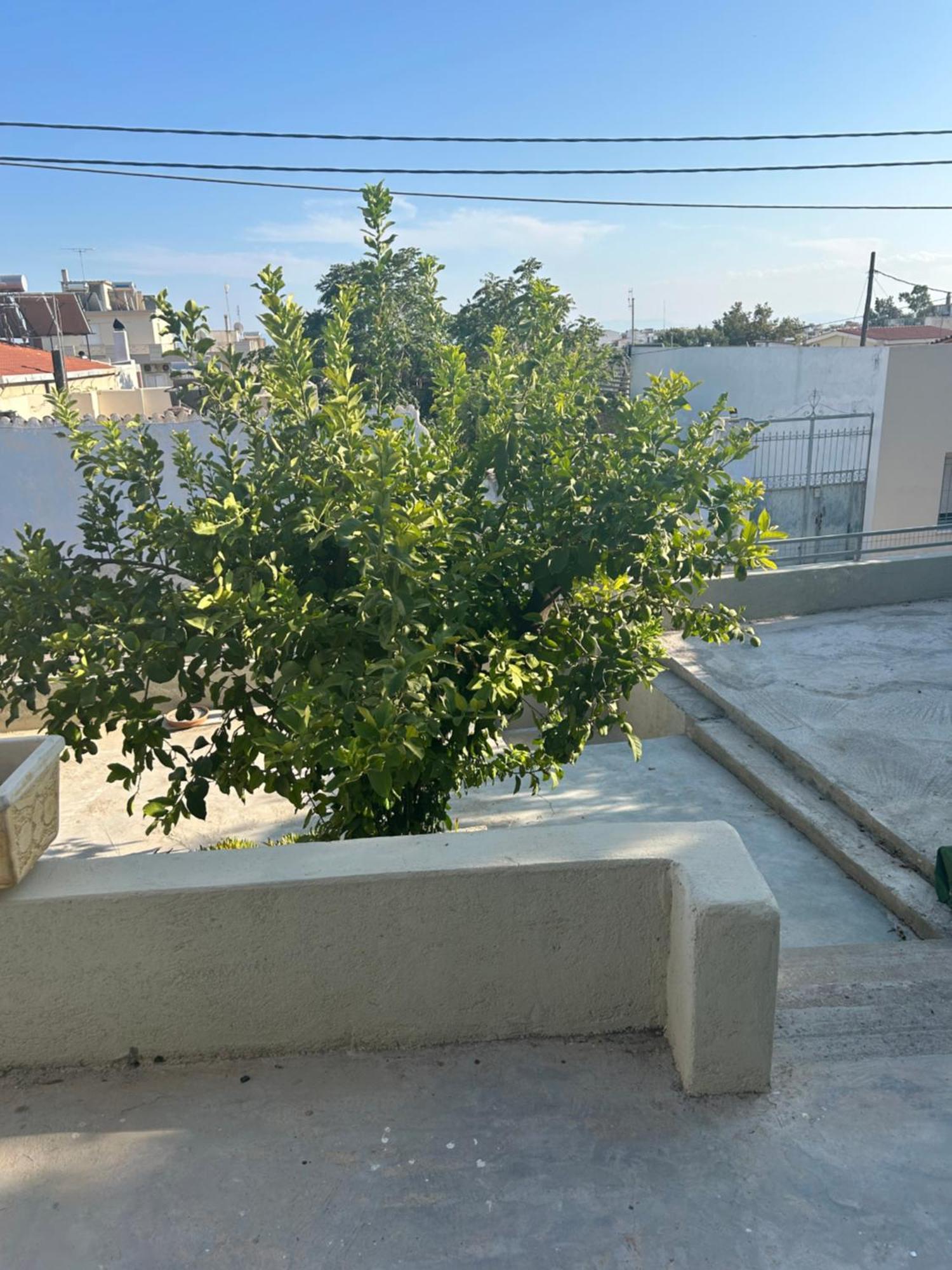 Lemonia Apartment Megara Luaran gambar